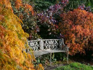 Autumn Splendour at Trelissick