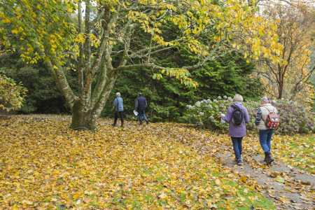 Cornwall Arthritis Trust: Accessible Guided Walks