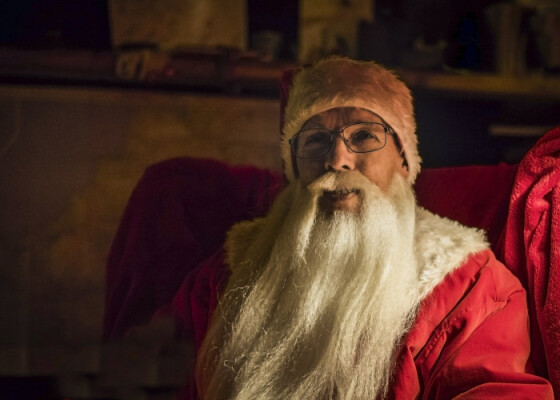 A Natural Christmas At Trebah Garden