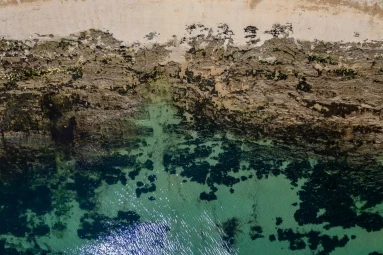 Shoreline Stay and Save with Falmouth Hotel