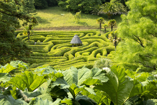 Exploring the Gardens of Falmouth and the Roseland