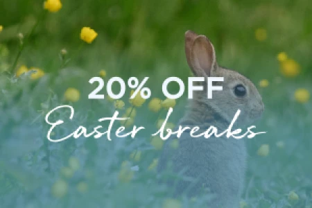Up to 20% Off Easter Breaks with Forever Cornwall
