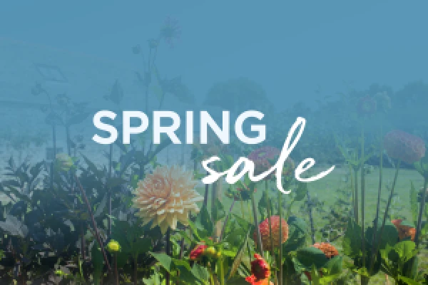 Spring Sale with Forever Cornwall