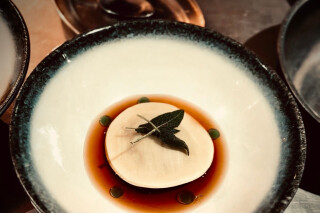 La Dolce Vita at Indidog