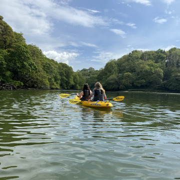 Koru Kayaking