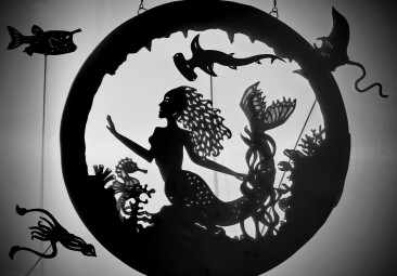 Silhouettes and Shadows with NMMC