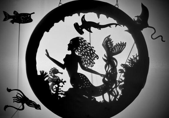 Silhouettes and Shadows with NMMC