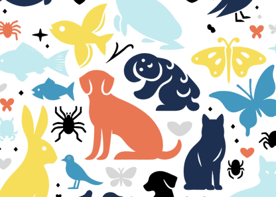 The Creatures of Kernow Trail at Trebah