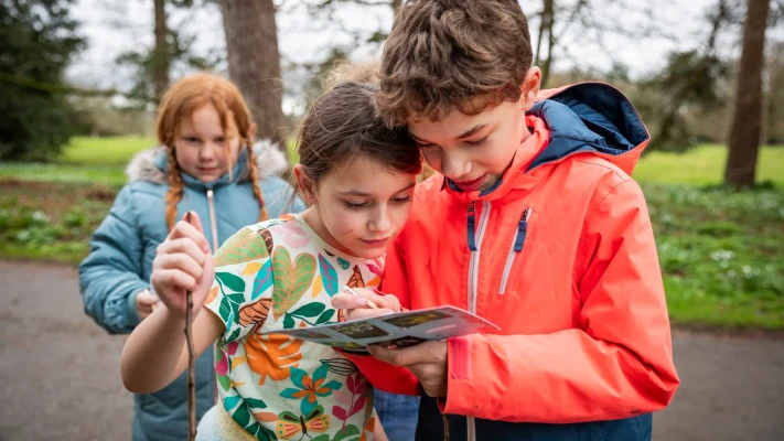 Half-term at Trelissick