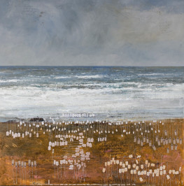 Kurt Jackson:Biodiversity at the Cornwall Museum and Art Gallery