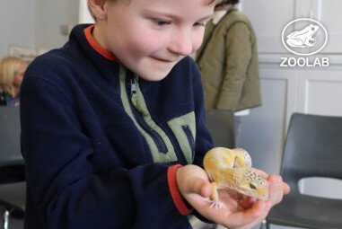 Zoolab Workshops with Trebah Garden