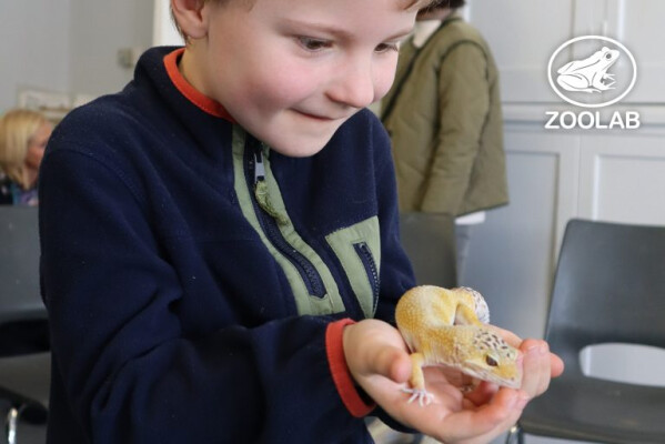 Zoolab Workshops with Trebah Garden