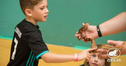 Zoolab Workshops with Trebah Garden