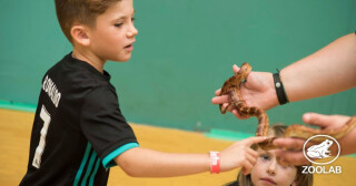 Zoolab Workshops with Trebah Garden