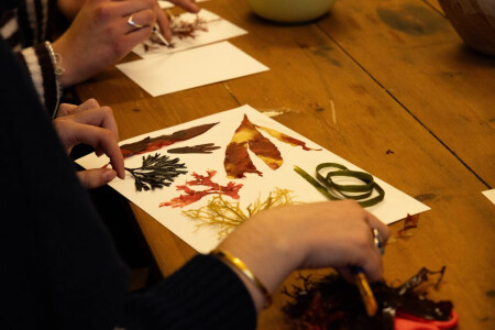 Seaweed Pressing Workshop with Trebah Garden