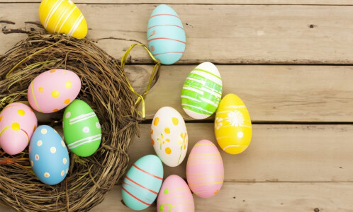 Easter Egg Hunt with Hotel Meudon