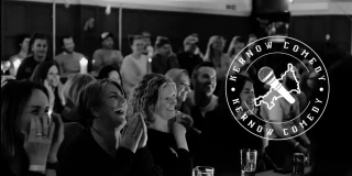 Roseland Festival - Comedy Night