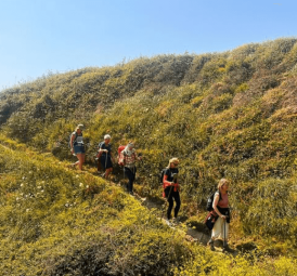 Roseland Festival - The Cornish Explorer Walks