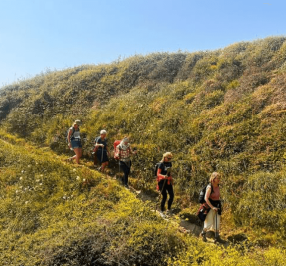 Roseland Festival - The Cornish Explorer Walks