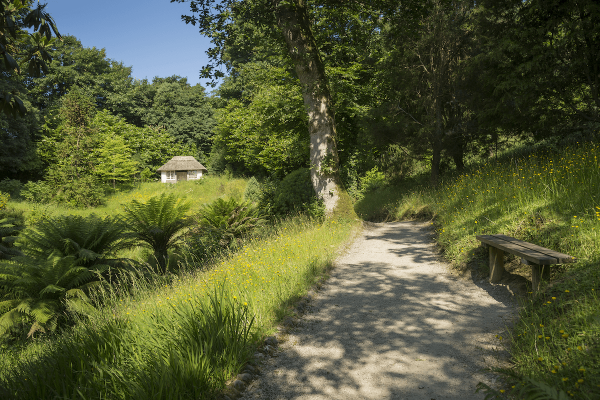 Meet Anna Maria Fox at Glendurgan Garden