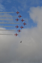 Falmouth Week Red Arrow Display at The Falmouth
