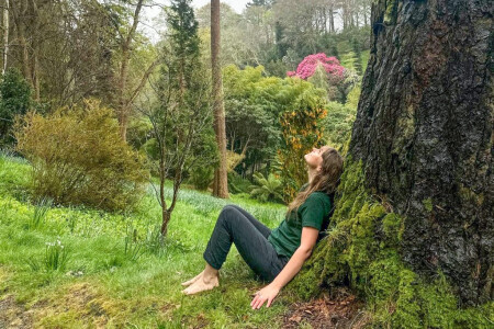 Summer Solstice Natural Mindfulness with Trebah Garden