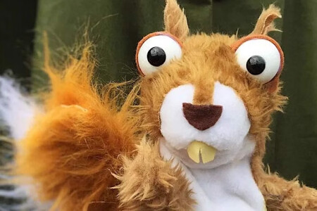 Squashbox: Tales from the Trees with Trebah Garden