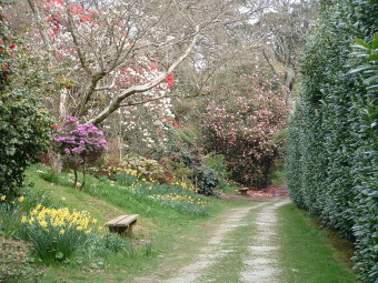 Caerhays Photography Competition