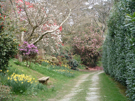 Caerhays Photography Competition