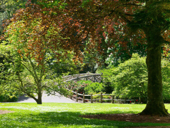 Your Trelissick: Mixed media workshop with Karen Berg