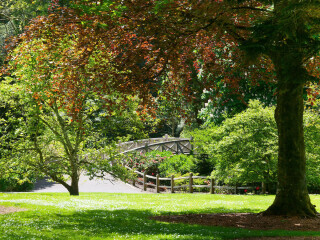 Your Trelissick: Mixed media workshop with Karen Berg