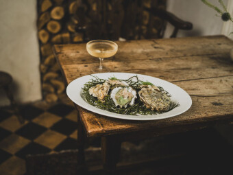 National Oyster Day with Harbour House