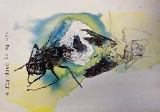 Cornwall College: Summer Show 2025 with Cornwall Museum & Art Gallery