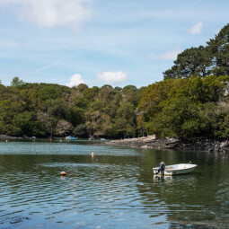 Wild Swimming with Cornish Kelpie at the Budock Vean Hotel & Spa