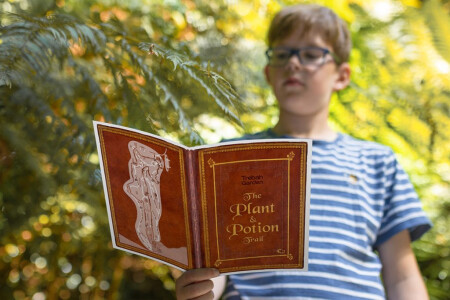 The Plant & Potion Trail with Trebah Graden