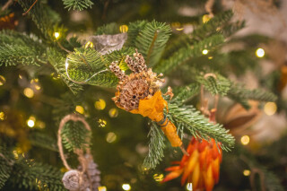 Botanical Christmas Decoration Workshop with Trebah Garden