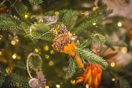 Botanical Christmas Decoration Workshop with Trebah Garden
