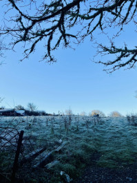 Christmas Social Run with Renwicks Cafe