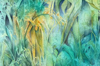 Cornwall Watercolour Society Preview & Meet The Artist Day