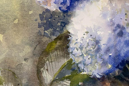 Learn to Paint in Watercolour with Trebah Garden