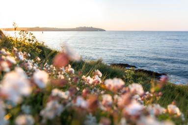 Cornish Winter Retreat with The Falmouth Hotel