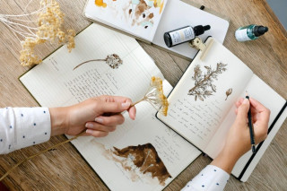 Botanical Inks Workshop with Trebah Garden