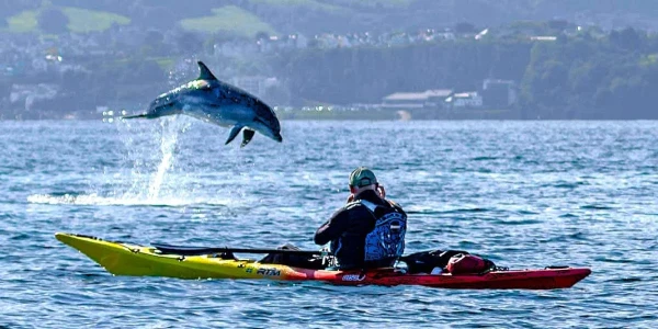The Lone Kayaker – Wildlife Photographer