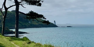 St. Anthony Head Nature Walk with David Hall