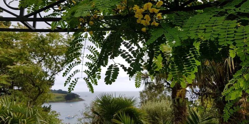 Lamorran Gardens Visit – Talk & Tea