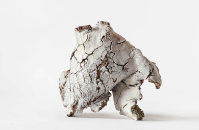 The Weight of Light: Art From The End Of The World