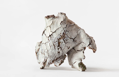 The Weight of Light: Art From The End Of The World