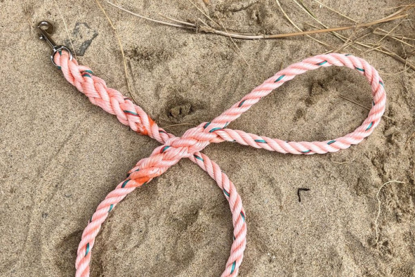 Ghost Gear Dog Lead Workshop with Trebah Garden