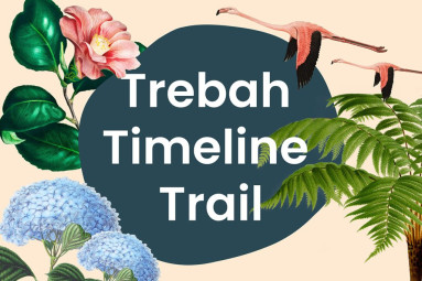 Trebah Timeline Trail