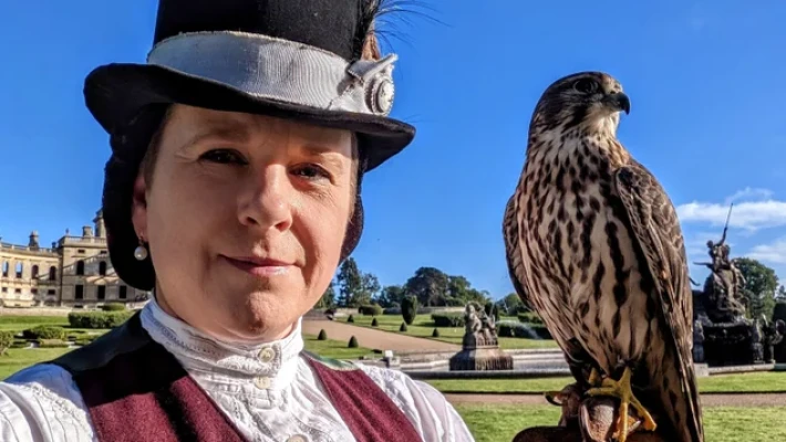 Falconry Displays at Trelissick